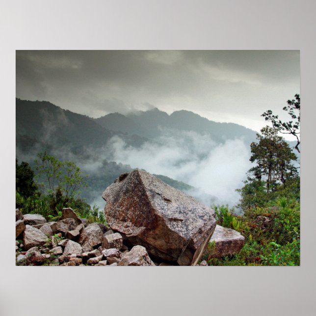 Cloud forest poster (Front)