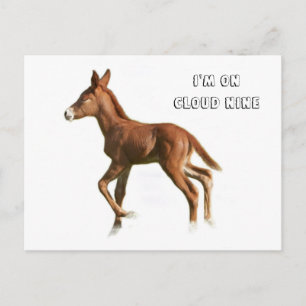 Cloud Nine Postcard