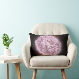 Cloud Of Debris From Two Neutron Stars Lumbar Cushion