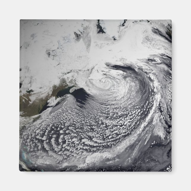 Cloud simulation of a single day 3 magnet (Front)