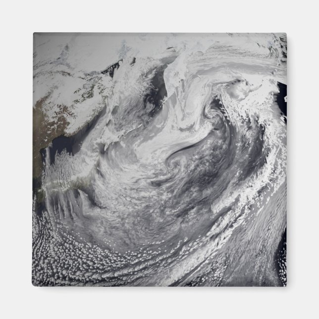 Cloud simulation of a single day magnet (Front)