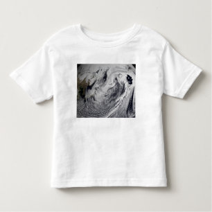 Cloud simulation of a single day toddler T-Shirt