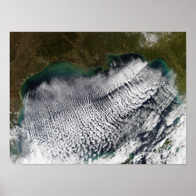 Cloud streets in the Gulf of Mexico Poster (Front)