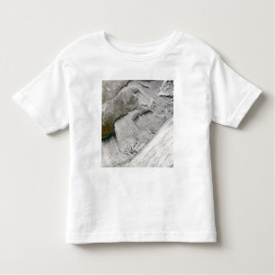 Cloud streets off New England and the Maritimes Toddler T-Shirt