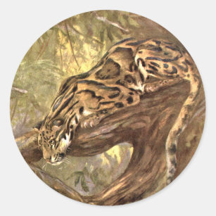 Clouded Leopard by CE Swan, Vintage Wild Animals Classic Round Sticker