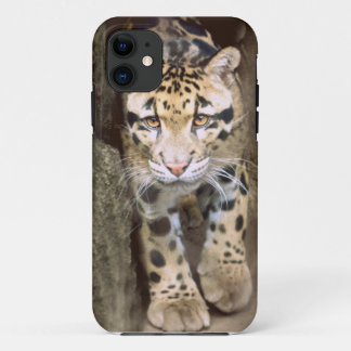 Clouded Leopard Case-Mate iPhone Case