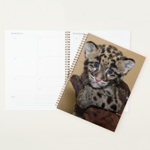 Clouded Leopard Cub Planner