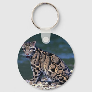 Clouded Leopard-eye contact Key Ring