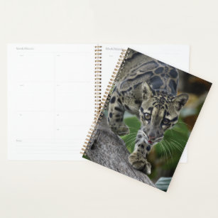 Clouded Leopard on the Move Planner