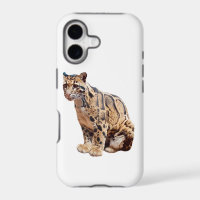 clouded leopard photograph jungle big cat animal