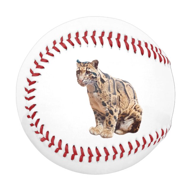 clouded leopard photograph jungle big cat animal   baseball (Front Left)