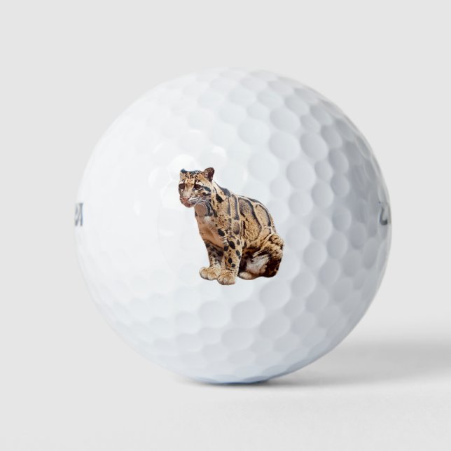 clouded leopard photograph jungle big cat animal   golf balls (Front)