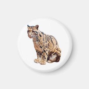 clouded leopard photograph jungle big cat animal magnet