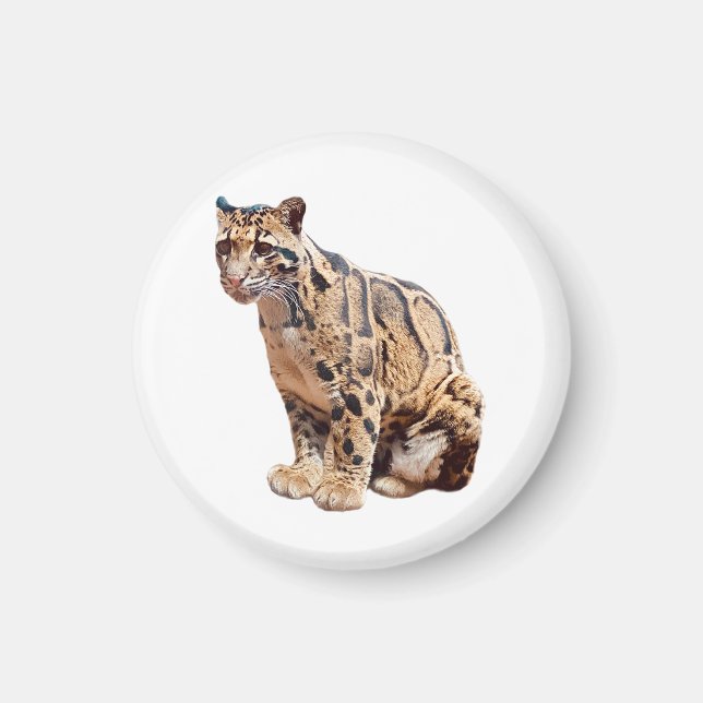 clouded leopard photograph jungle big cat animal   magnet (Front)