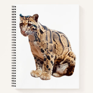 clouded leopard photograph jungle big cat animal   notebook