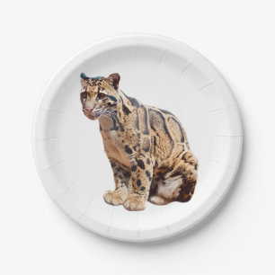 clouded leopard photograph jungle big cat animal   paper plate