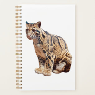 clouded leopard photograph jungle big cat animal   planner