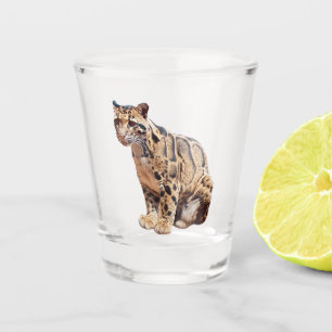 clouded leopard photograph jungle big cat animal   shot glass