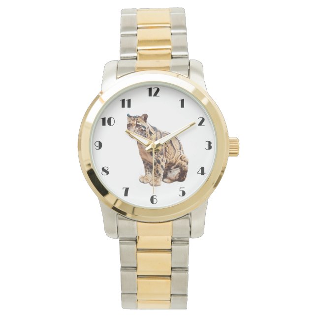 clouded leopard photograph jungle big cat animal   watch (Front)
