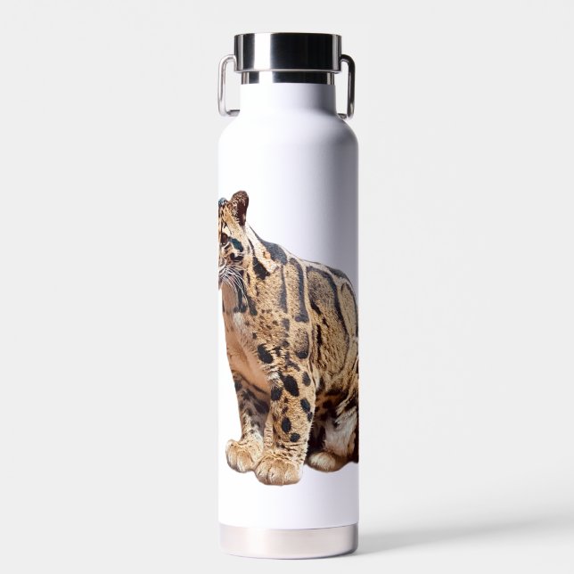 clouded leopard photograph jungle big cat animal   water bottle (Front)