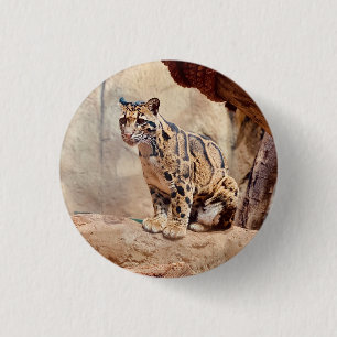 clouded leopard picture nature wildlife exotic 3 cm round badge