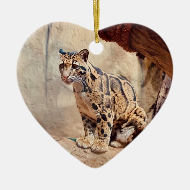 clouded leopard picture nature wildlife exotic ceramic tree decoration (Front)