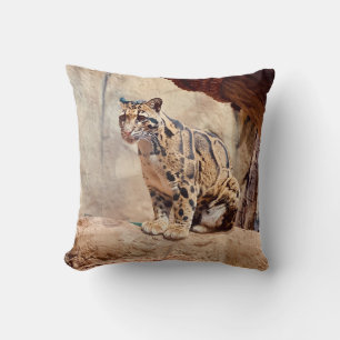 clouded leopard picture nature wildlife exotic cushion