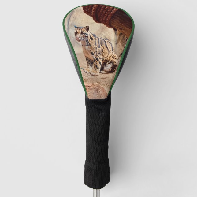 clouded leopard picture nature wildlife exotic golf head cover (Front)