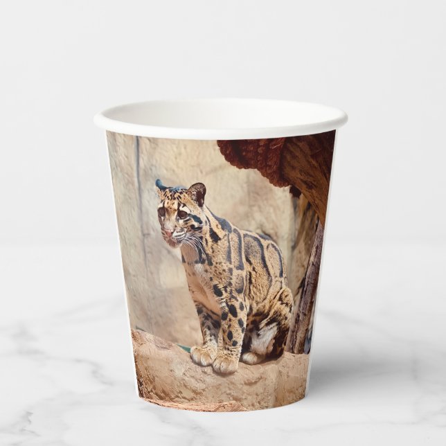 clouded leopard picture nature wildlife exotic paper cups (Front)
