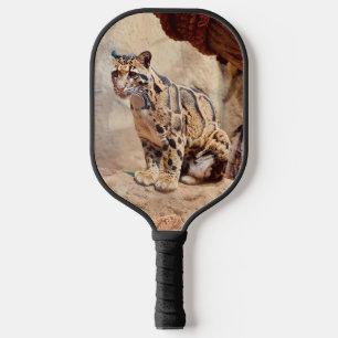 clouded leopard picture nature wildlife exotic pickleball paddle