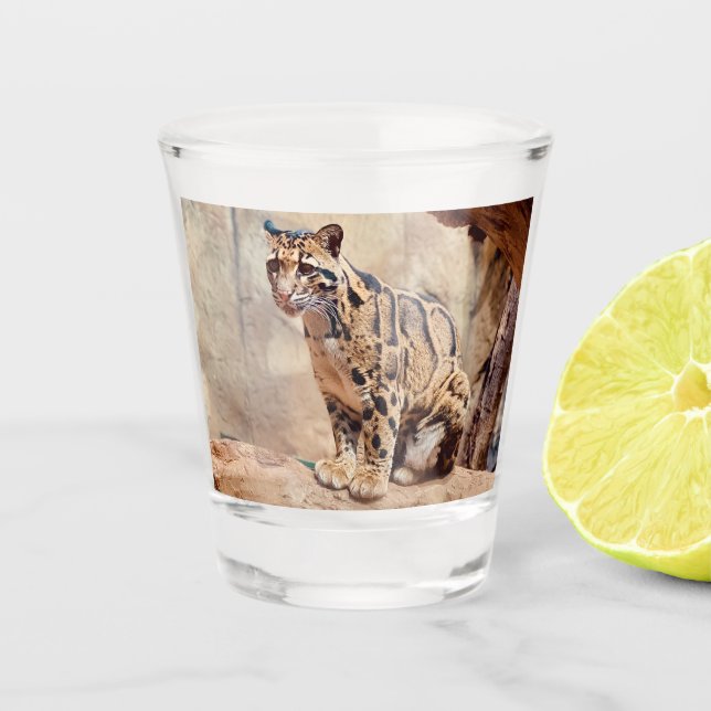 clouded leopard picture nature wildlife exotic shot glass (Front)