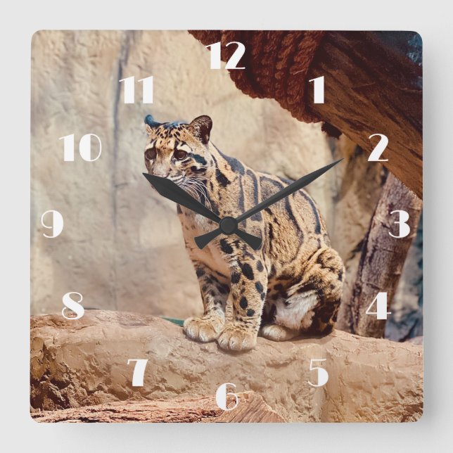 clouded leopard picture nature wildlife exotic square wall clock (Front)