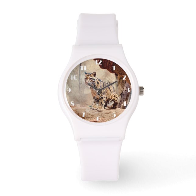 clouded leopard picture nature wildlife exotic watch (Front)