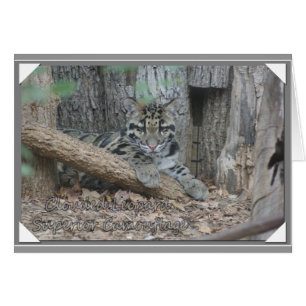 CLOUDED LEOPARD SUPERIOR CAMOUFLAGE