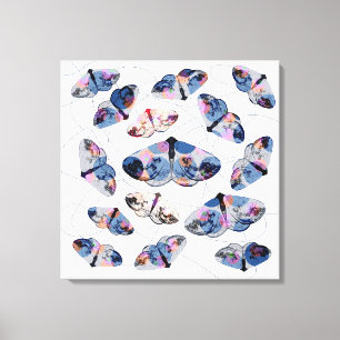 clouded silver moth - blue -  canvas print