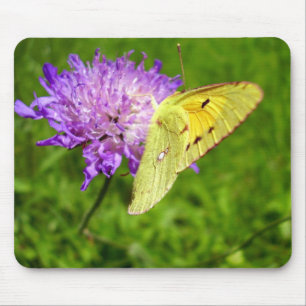 Clouded Yellow Butterfly Mouse Mat