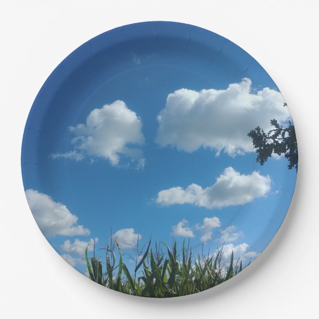 Clouds And Blue Sky Paper Plate (Front)
