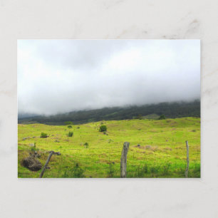 Clouds descending on pastureland Postcard