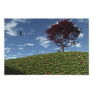 Clouds Go Sailing By Photo Print