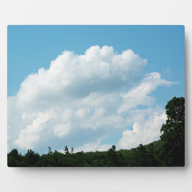 Clouds Meet Trees Plaque (Front)