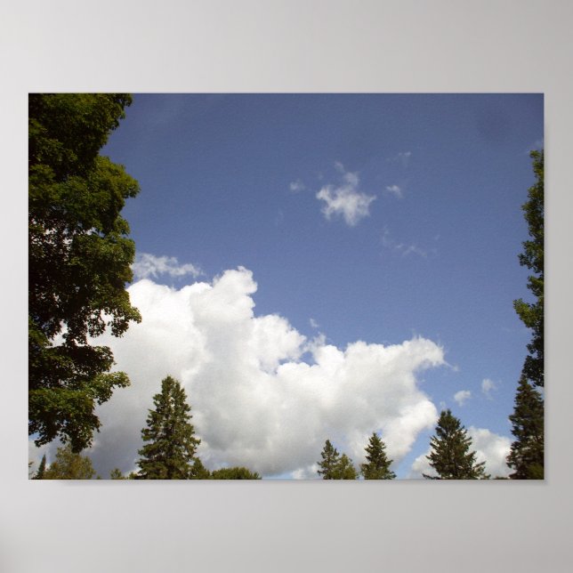 Clouds Over Tree Tops Poster (Front)