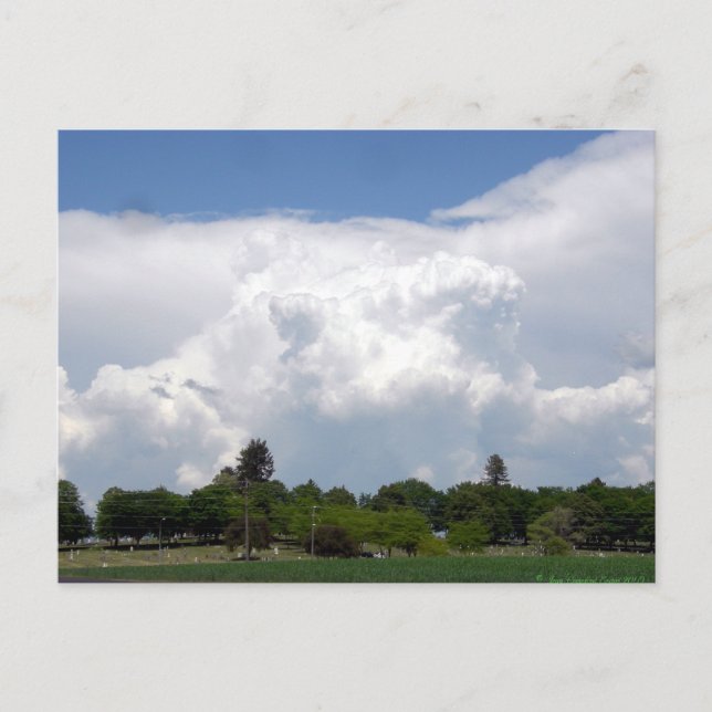 Clouds Postcard (Front)