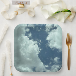 Clouds through the sunroof  paper plate
