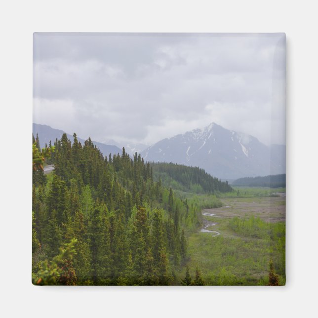 Cloudy At Denali Magnet (Front)