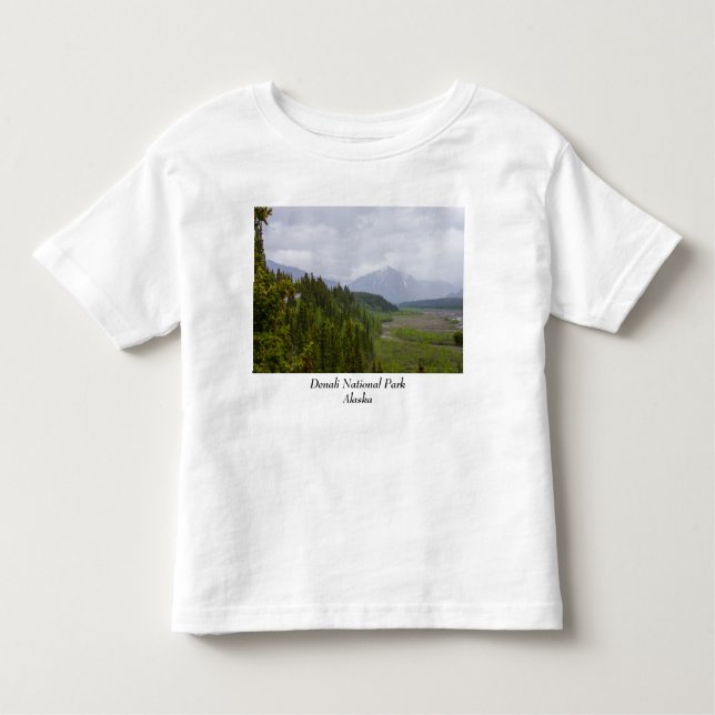 Cloudy At Denali Toddler T-Shirt (Front)