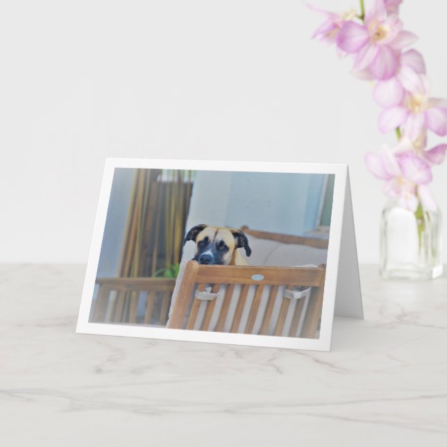 Cloudy Dog Portrait Card (Orchid)