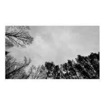 Cloudy Skies,