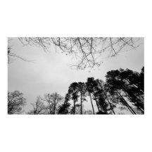 Cloudy Skies,