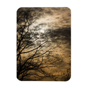 Cloudy Sun Scene Magnet
