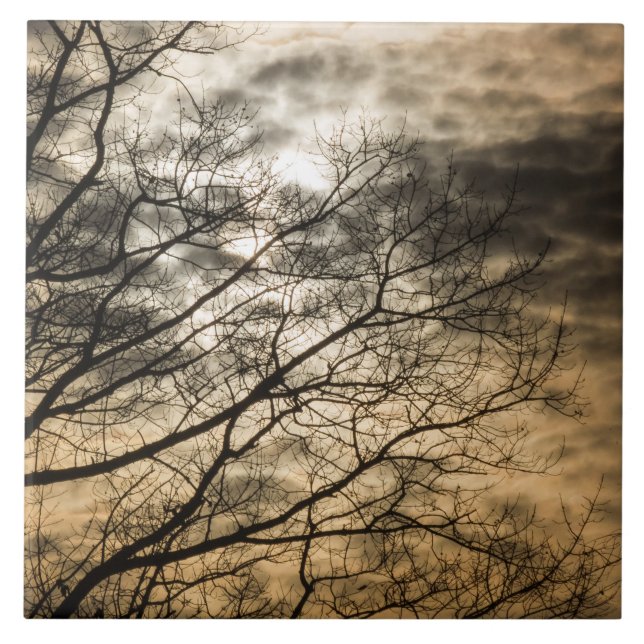 Cloudy Sun Scene Tile (Front)